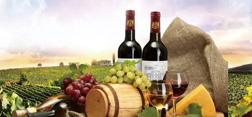 小山城堡红葡萄酒价格(小山城堡红葡萄酒价格2014)-图3 小山城堡红葡萄酒价格(小山城堡红葡萄酒价格2014)-图3