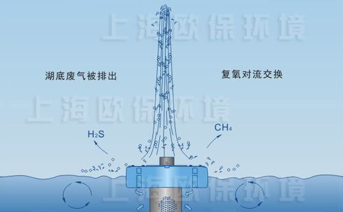 水火喷泉价格(喷火喷泉原理)-图3 水火喷泉价格(喷火喷泉原理)-图3