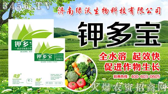 绿沃园价格(绿沃农业)-图2 绿沃园价格(绿沃农业)-图2