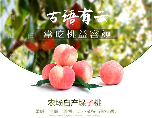 朵子桃价格(为什么叫朵子桃)-图3 朵子桃价格(为什么叫朵子桃)-图3