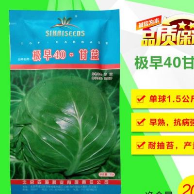 奥奇娜甘蓝种子价格(奥奇娜种植技术)-图1 奥奇娜甘蓝种子价格(奥奇娜种植技术)-图1