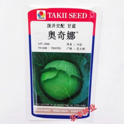 奥奇娜甘蓝种子价格(奥奇娜种植技术)-图2 奥奇娜甘蓝种子价格(奥奇娜种植技术)-图2