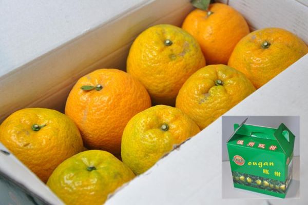 欧甘的价格(欧甘叶面肥价格多少)-图2 欧甘的价格(欧甘叶面肥价格多少)-图2