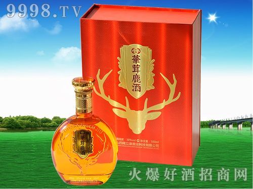 华茸鹿酒价格（绛县华茸鹿酒价格）