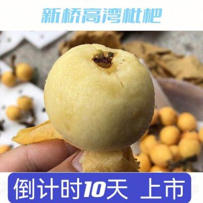 批把价格(批把什么时候上市)-图2 批把价格(批把什么时候上市)-图2