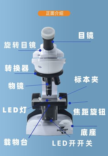 立体显微镜价格（立体显微镜工作原理）