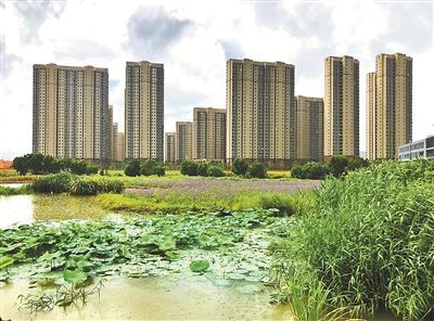 下应洋江水岸价格(洋江水岸地址)-图3 下应洋江水岸价格(洋江水岸地址)-图3