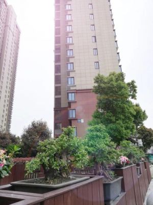 下应洋江水岸价格(洋江水岸地址)-图2 下应洋江水岸价格(洋江水岸地址)-图2