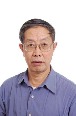 盖梅价格（盖梅恩教授）