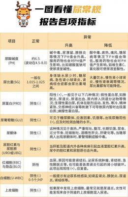 尿检的价格(尿检贵吗)-图3 尿检的价格(尿检贵吗)-图3