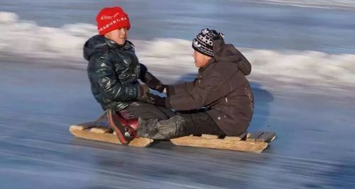 爬犁价格(爬犁一般哪里卖)-图3 爬犁价格(爬犁一般哪里卖)-图3