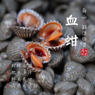 血蚶的价格（血蚶贵吗）