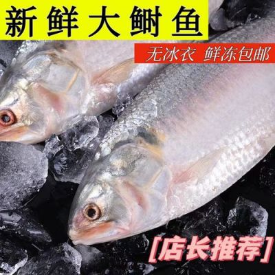 三泥鱼价格（三泥鱼的价格）