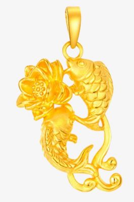 黄金狸价格(黄金鲤鱼多少钱一条图片)-图3 黄金狸价格(黄金鲤鱼多少钱一条图片)-图3
