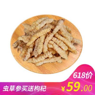 地龙菜价格（地龙菜的功效与作用）