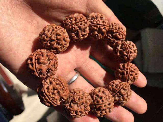 两瓣金刚价格(两瓣金刚菩提子值钱吗)-图2 两瓣金刚价格(两瓣金刚菩提子值钱吗)-图2