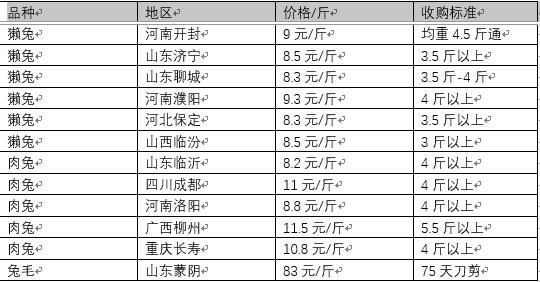 2017年蒙阴兔毛价格（2020年蒙阴兔毛价格）