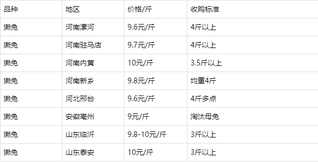 2017年蒙阴兔毛价格(2020年蒙阴兔毛价格)-图2 2017年蒙阴兔毛价格(2020年蒙阴兔毛价格)-图2