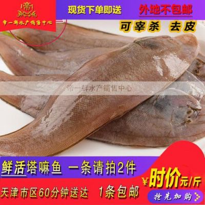 塔目鱼价格(塔嘛鱼与比目鱼的区别)-图3 塔目鱼价格(塔嘛鱼与比目鱼的区别)-图3