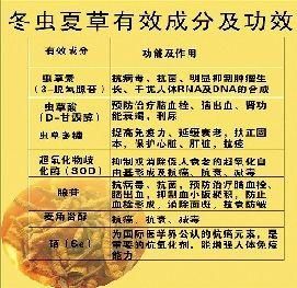 极雪虫草价格的简单介绍
