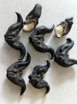 水红菱价格多少(水红菱角)-图2 水红菱价格多少(水红菱角)-图2