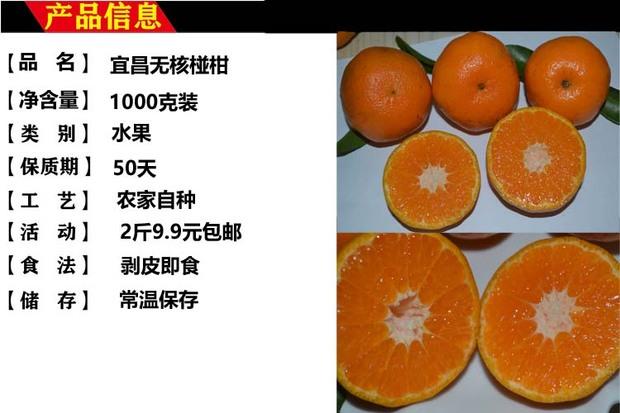 碰柑2016价格(碰柑的营养与功效)-图2 碰柑2016价格(碰柑的营养与功效)-图2