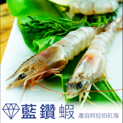 蓝钻虾价格（蓝钻虾怎么吃）