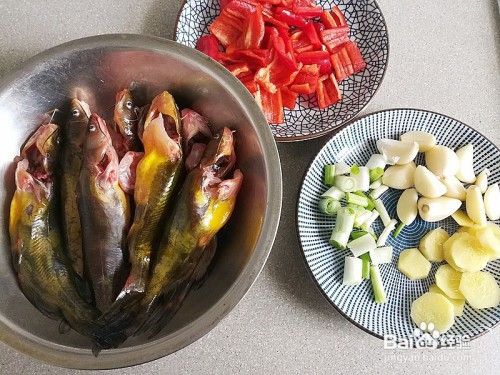 黄鸭鱼价格(黄鸭鱼怎么做好吃有营养)-图2 黄鸭鱼价格(黄鸭鱼怎么做好吃有营养)-图2