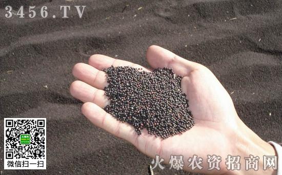襄阳菜籽价格(襄阳菜籽价格最新行情)-图2 襄阳菜籽价格(襄阳菜籽价格最新行情)-图2