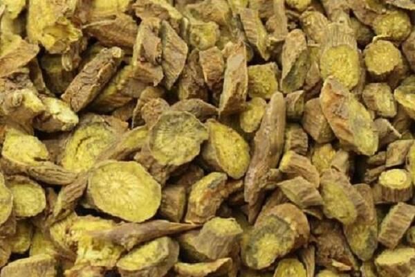 黄芹根价格(中药黄芹的价格是多少)-图3 黄芹根价格(中药黄芹的价格是多少)-图3