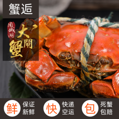 4两公蟹价格(大闸蟹4两公蟹多少钱)-图3 4两公蟹价格(大闸蟹4两公蟹多少钱)-图3