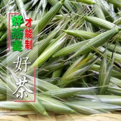 野麦子价格(野麦子种图片大全)-图3 野麦子价格(野麦子种图片大全)-图3