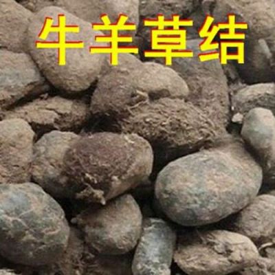 羊草结价格(中药羊草结的功效与副作用)-图3 羊草结价格(中药羊草结的功效与副作用)-图3