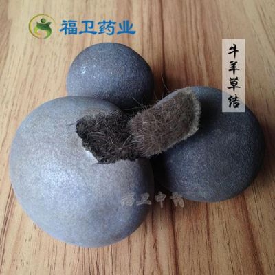 羊草结价格(中药羊草结的功效与副作用)-图2 羊草结价格(中药羊草结的功效与副作用)-图2