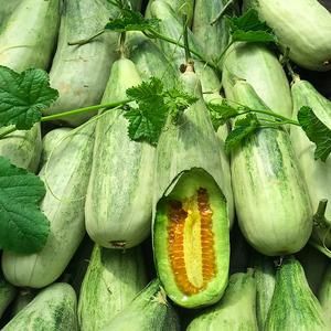 牛角蜜价格(牛角蜜是什么水果)-图2 牛角蜜价格(牛角蜜是什么水果)-图2