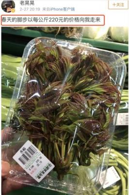 春芽价格(春芽价格下调)-图3 春芽价格(春芽价格下调)-图3