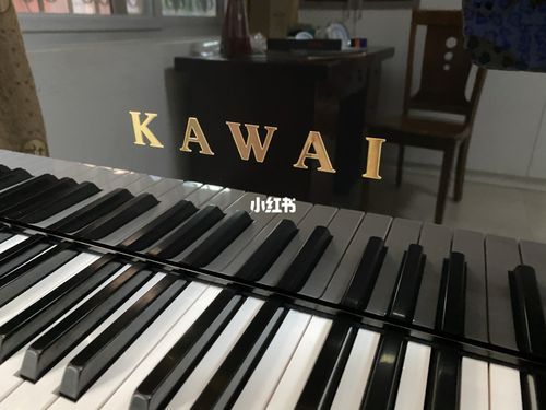 卡哇伊s3价格(卡哇伊kus30怎么样)-图2 卡哇伊s3价格(卡哇伊kus30怎么样)-图2