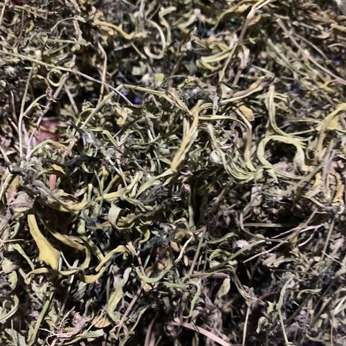 通脉草价格(通脉草的功效)-图3 通脉草价格(通脉草的功效)-图3