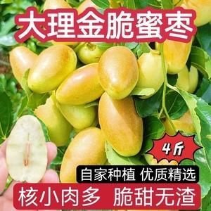 金枣粉价格(什么是金枣子)-图3 金枣粉价格(什么是金枣子)-图3