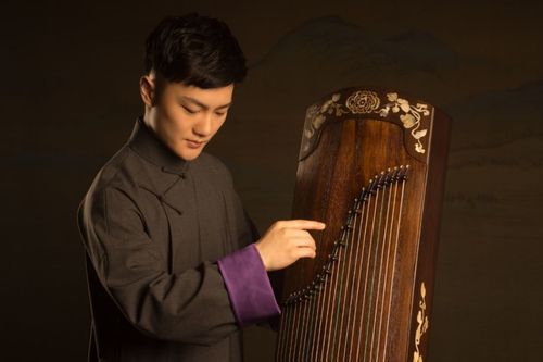 刘乐一价格（刘乐演出视频）