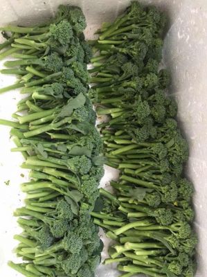 青花菜价格(青花菜的价格多少)-图3 青花菜价格(青花菜的价格多少)-图3