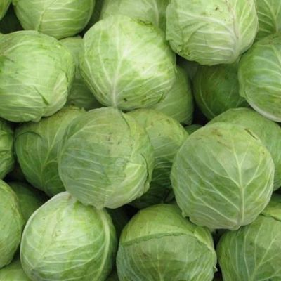 莲花白价格(莲花白价格最新行情)-图3 莲花白价格(莲花白价格最新行情)-图3