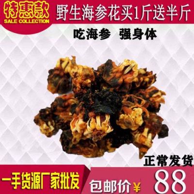 海参花价格(海参花价格便宜与贵的区别)-图3 海参花价格(海参花价格便宜与贵的区别)-图3