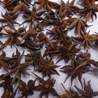 莽草的价格(莽草长什么样)-图3 莽草的价格(莽草长什么样)-图3