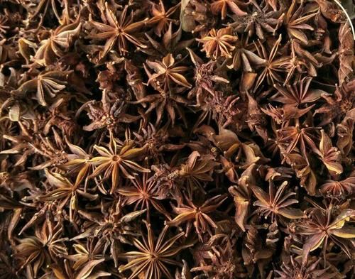 莽草的价格(莽草长什么样)-图2 莽草的价格(莽草长什么样)-图2