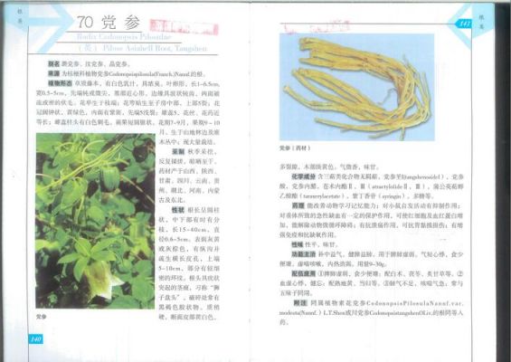 当参的价格(当参价格2023最新价格)-图3 当参的价格(当参价格2023最新价格)-图3