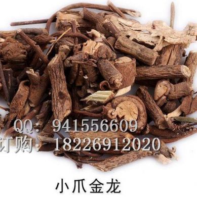 穿金龙价格(穿金龙别名)-图2 穿金龙价格(穿金龙别名)-图2