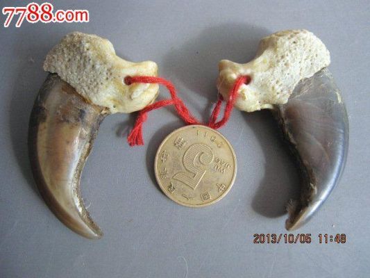 熊钩子价格(熊钩子的盘玩与保养)-图1 熊钩子价格(熊钩子的盘玩与保养)-图1
