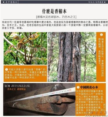 香椿木手串价格(香椿木手串价格表)-图3 香椿木手串价格(香椿木手串价格表)-图3
