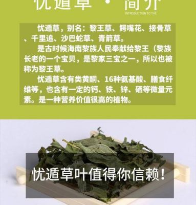 忧遁草茶价格(忧遁草茶怎样泡水)-图2 忧遁草茶价格(忧遁草茶怎样泡水)-图2